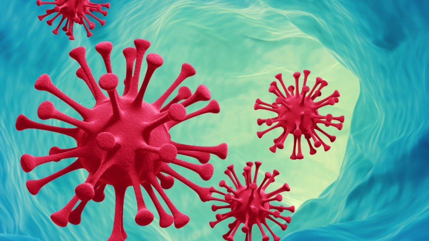 Behandlingsmetoden går ut på att injicera virus i pulsådrorna som försörjer levern med blod.  Foto: Shutterstock